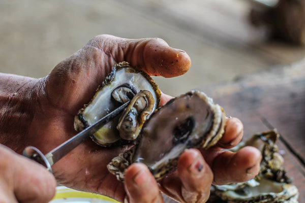 An Old School Oyster Roast
